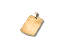 Load image into Gallery viewer, Gold Dog Tag Necklace, Personalized engraved stainless steel dog tag ID pendant, Custom health accessory.