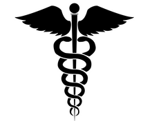 Load image into Gallery viewer, Military Dog Tag Medical Alert Necklace - Blue Aluminum Engraved