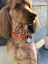 Charger l'image dans la galerie, Personalized Dog Collars | Laser engraved nameplate | My Custom ID™