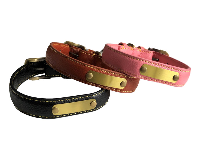 Personalized Dog Collars | Laser engraved nameplate | My Custom ID™