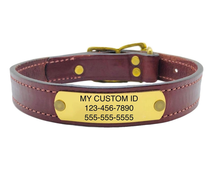 Dog Collar, Leather & Engraved Nameplate, Chestnut, 1