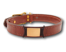 Load image into Gallery viewer, Dog Tag, Pet ID Tag, Silicone band, Gold, Black, Rose Gold Nameplate, Laser Engraved, Jingle-Free Pet Tag. freeshipping - My Custom ID