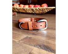 Load image into Gallery viewer, Dog Collar, Genuine Leather, Engraved Nameplate, Personalized Leather Dog Collar, Custom Dog Collars for Dogs, Laser Engraved Dog Collar freeshipping - My Custom ID