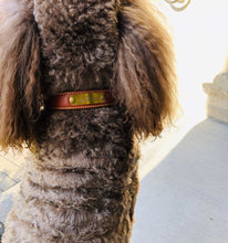 Load image into Gallery viewer, Personalized Dog Collars | Laser engraved nameplate | My Custom ID™
